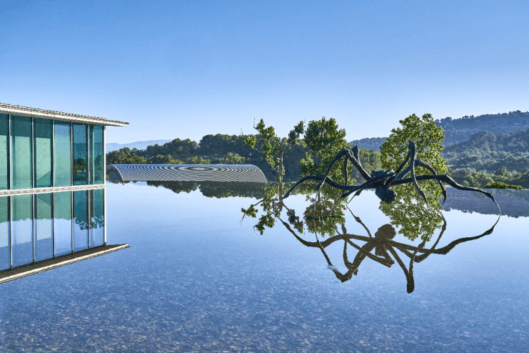 Former Claridges billionaires French vineyard with lush grapevines and scenic landscape in a business feature.