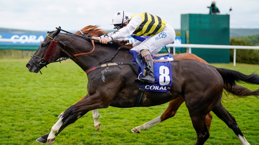 Jockey in yellow and black silks racing a brown horse with number 8 and Coral branding on a green track.