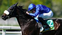 Racehorse Opera Ballo and jockey in blue silks galloping during a race on a sunny day