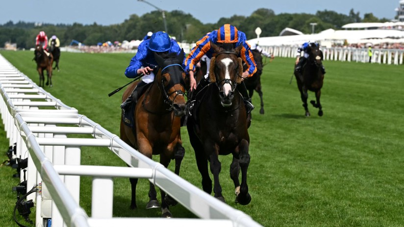 Trawlerman Scandinavia winning a horse race with a jockey in blue and orange silks on a green track.