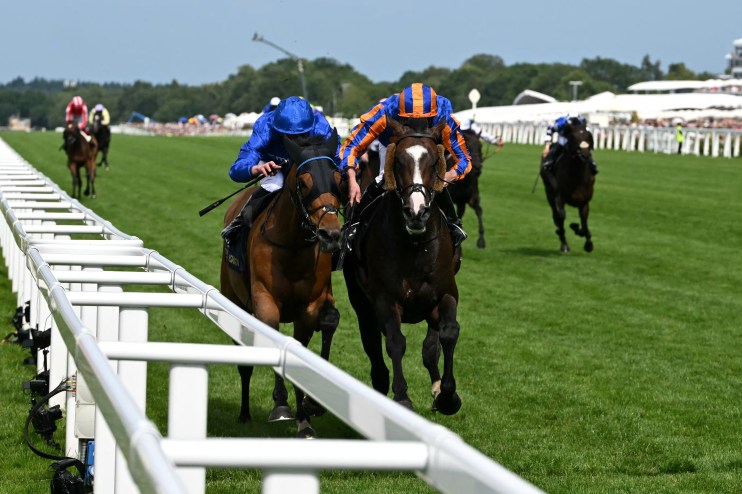 Trawlerman Scandinavia winning a horse race with a jockey in blue and orange silks on a green track.