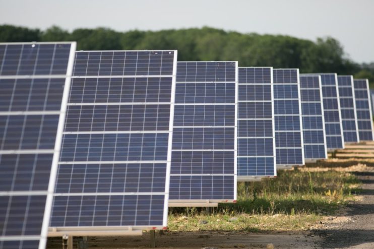 Rows of blue solar panels in a field, generating clean energy, with green trees in the background.