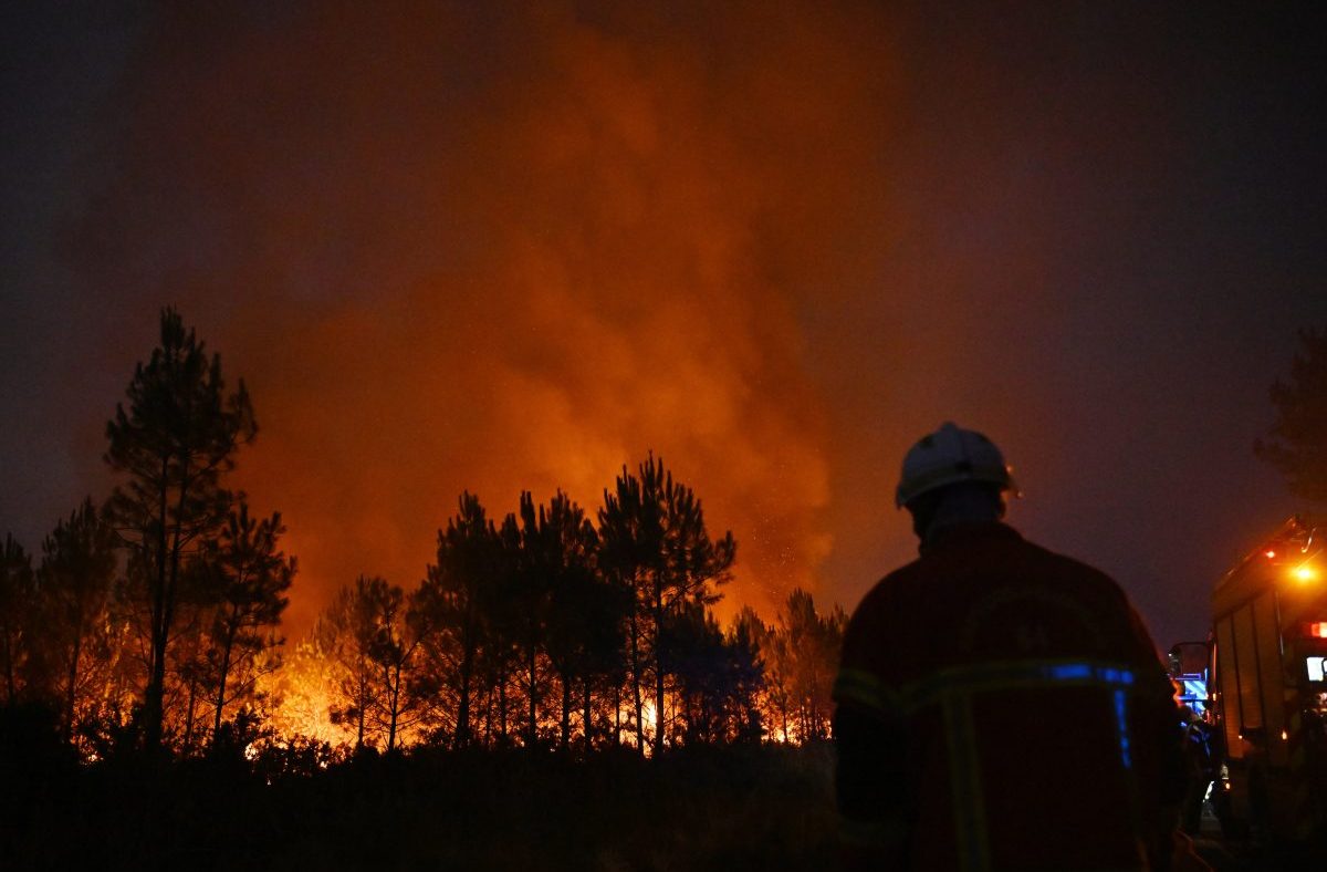 Firefighter in helmet and uniform watching a blazing forest fire at night, red glow in the sky