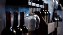 Wine bottles and hanging glasses on a dark wooden rack, suggesting a selection of Pinot Noir to buy.