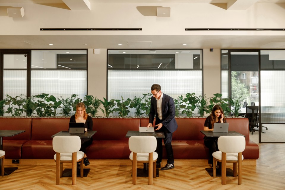 Professionals working on laptops in a modern co-working lounge with plants and red seating.