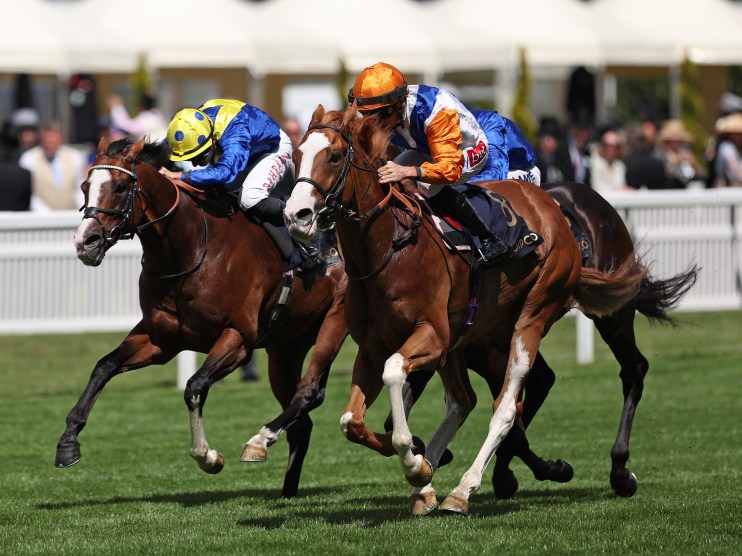 Two racehorses and jockeys in colorful silks galloping on a green turf track during a horse race