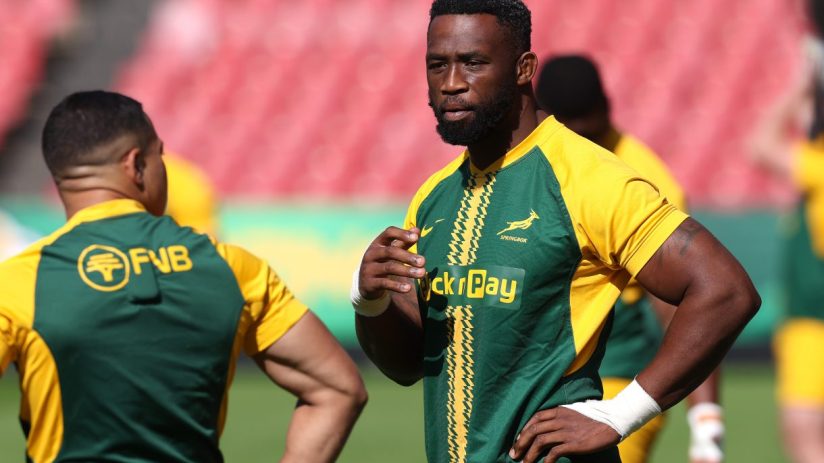 Siya Kolisi, Springboks captain, in a green and gold rugby jersey during a match