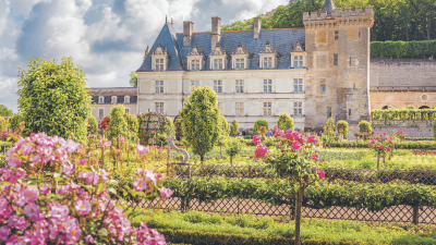 Château de Villandry in the Loire Valley, France, with its famous ornamental gardens and pink roses in bloom.