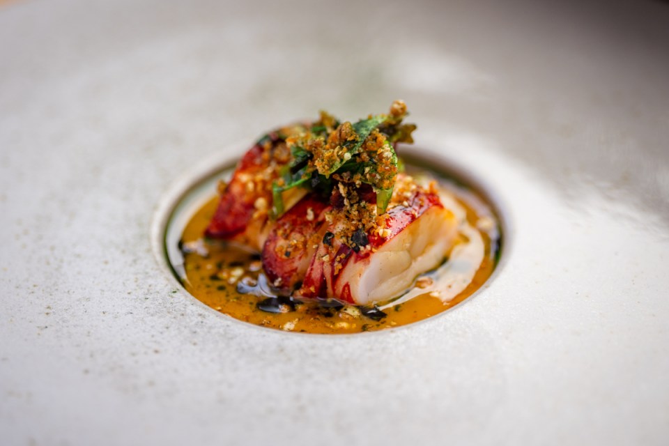 Gourmet lobster dish with sea lettuce, dulce, and plankton served in a rich sauce on a white plate