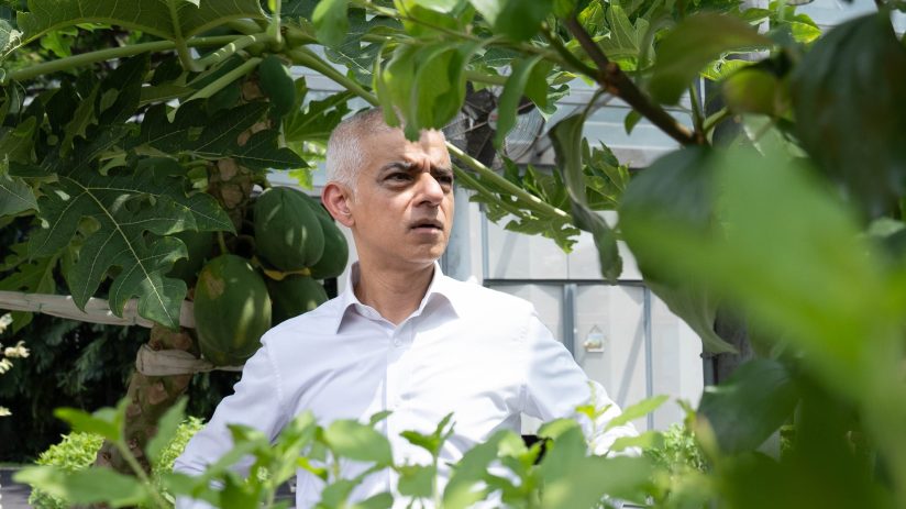 Sadiq Khan, Mayor of London, in a white shirt, observing plants in a greenhouse or garden, surrounded by foliage.