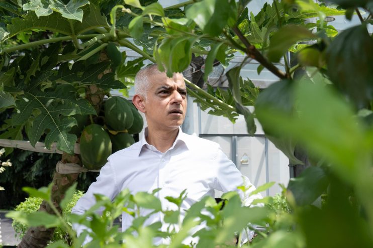 Sadiq Khan, Mayor of London, in a white shirt, observing plants in a greenhouse or garden, surrounded by foliage.