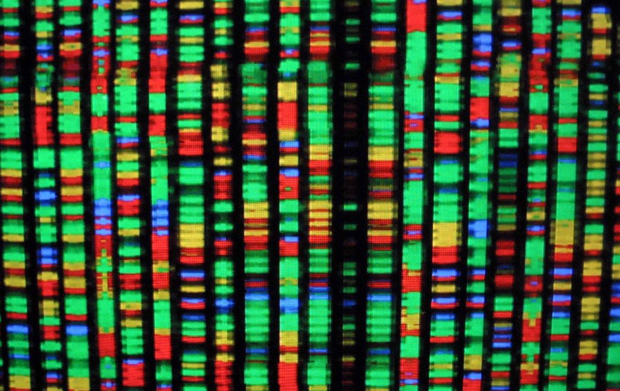 Genomic Workshop