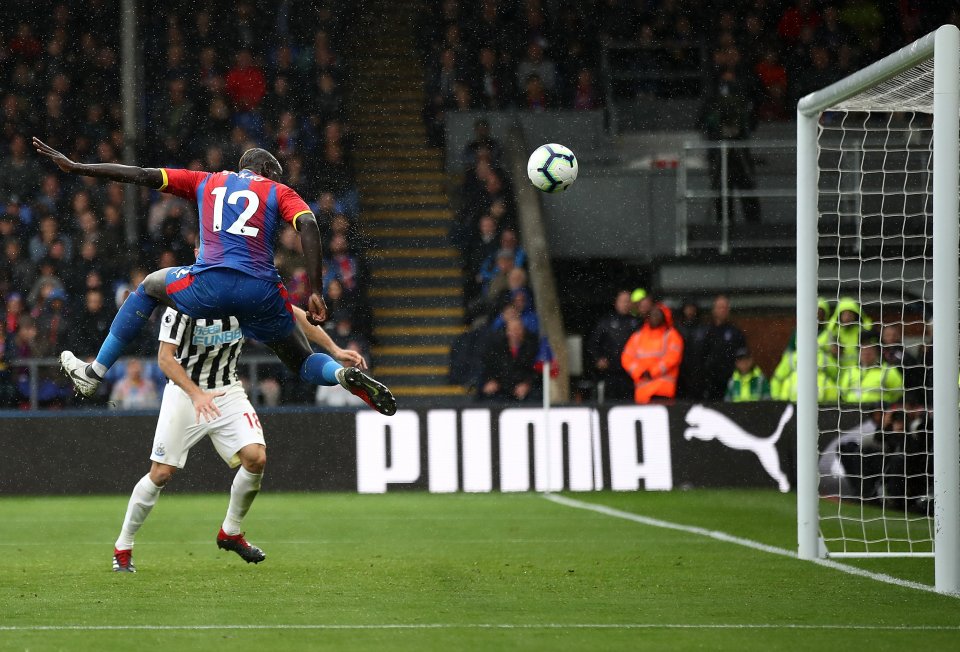 Crystal Palace v Newcastle United - Premier League