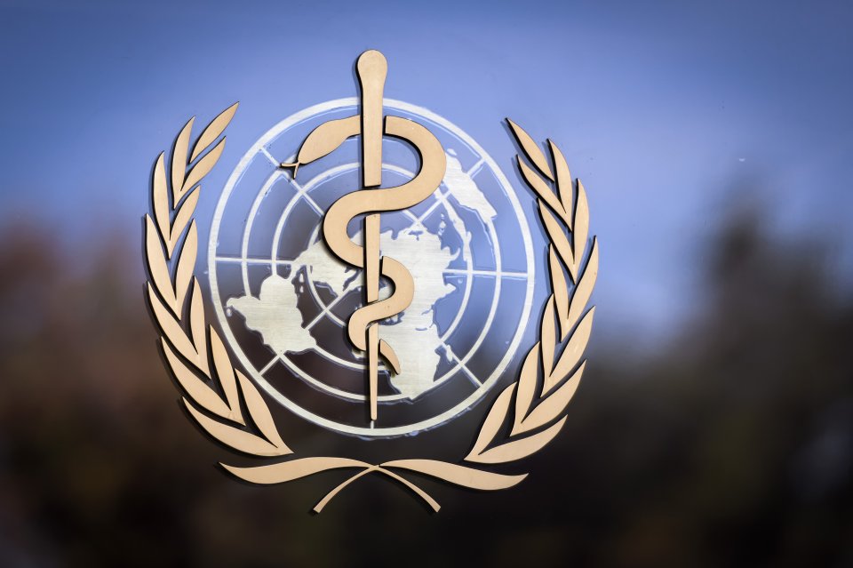 SWITZERLAND-ZIMBABWE-POLITICS-HEALTH-WHO-UN
