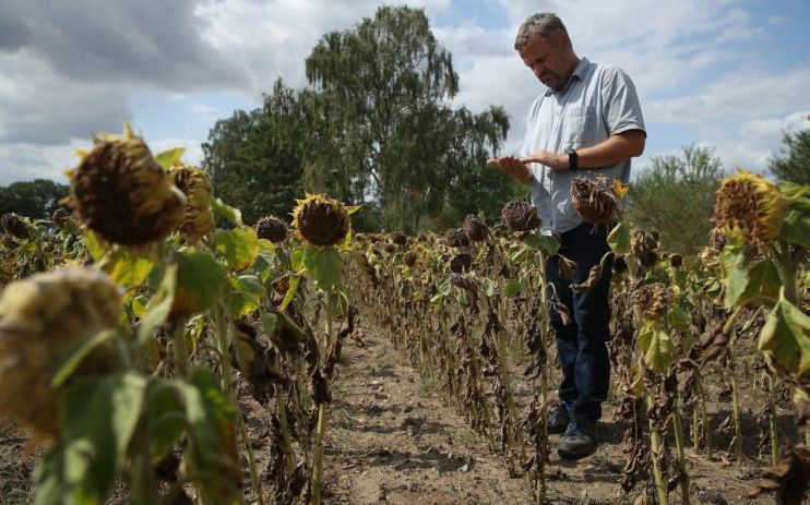 Farming