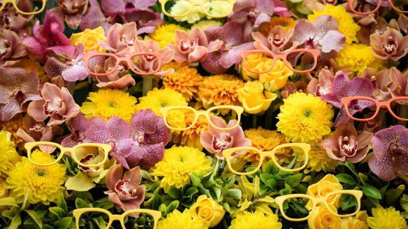 chelsea flower show