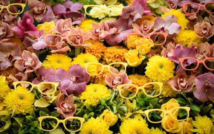 chelsea flower show